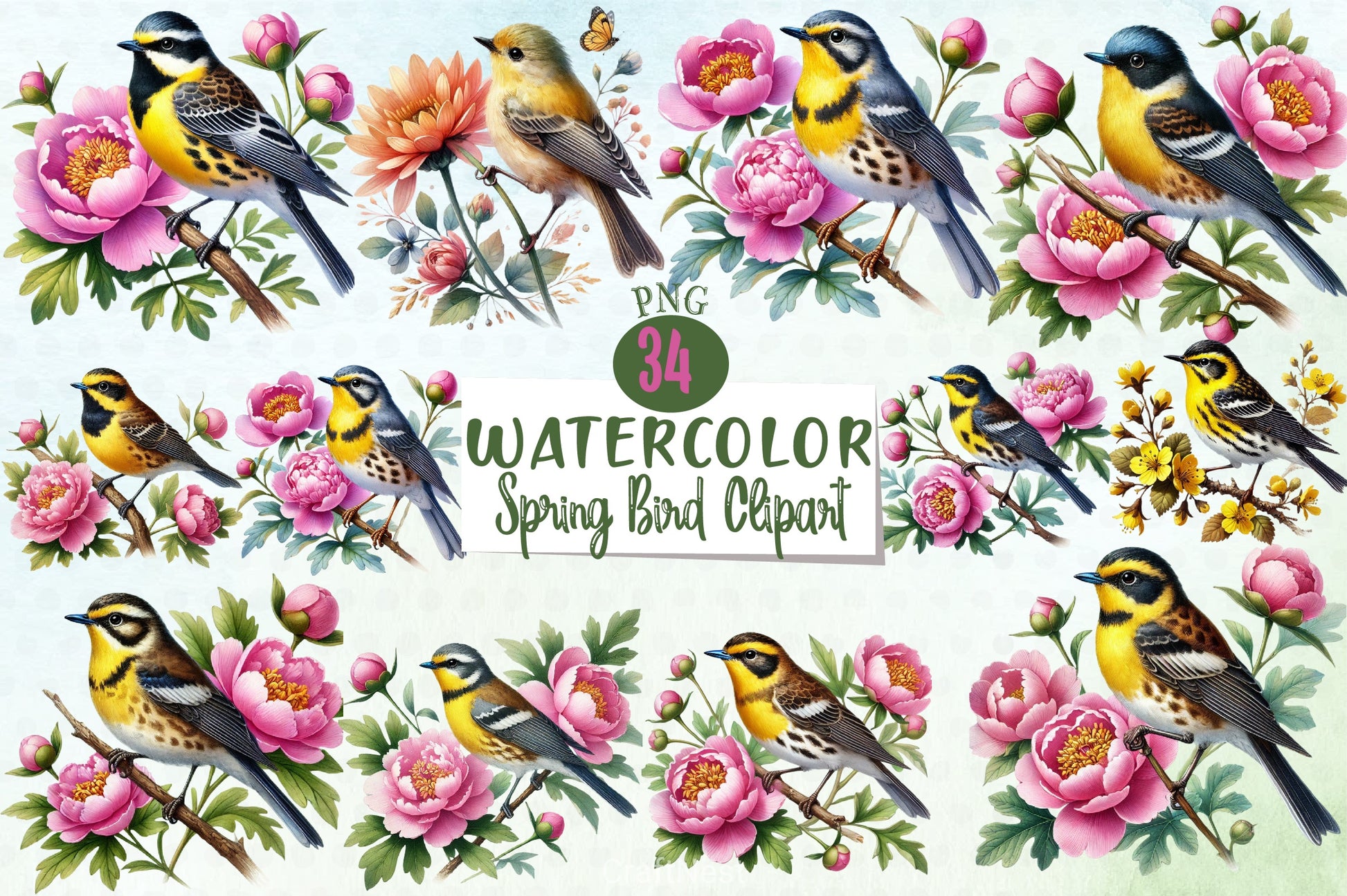 Spring Bird Clipart Bundle - CraftNest - Digital Crafting and Art