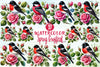 Spring Grosbeak Clipart Bundle