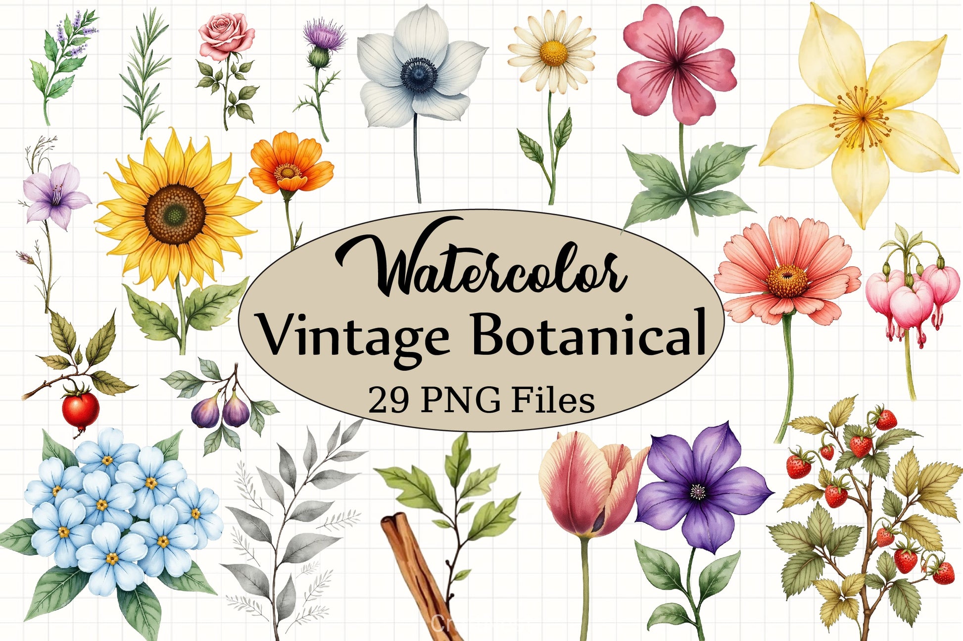 Vintage Botanical Clipart Bundle 4 - CraftNest - Digital Crafting and Art