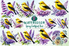 Spring Goldfinch Clipart Bundle