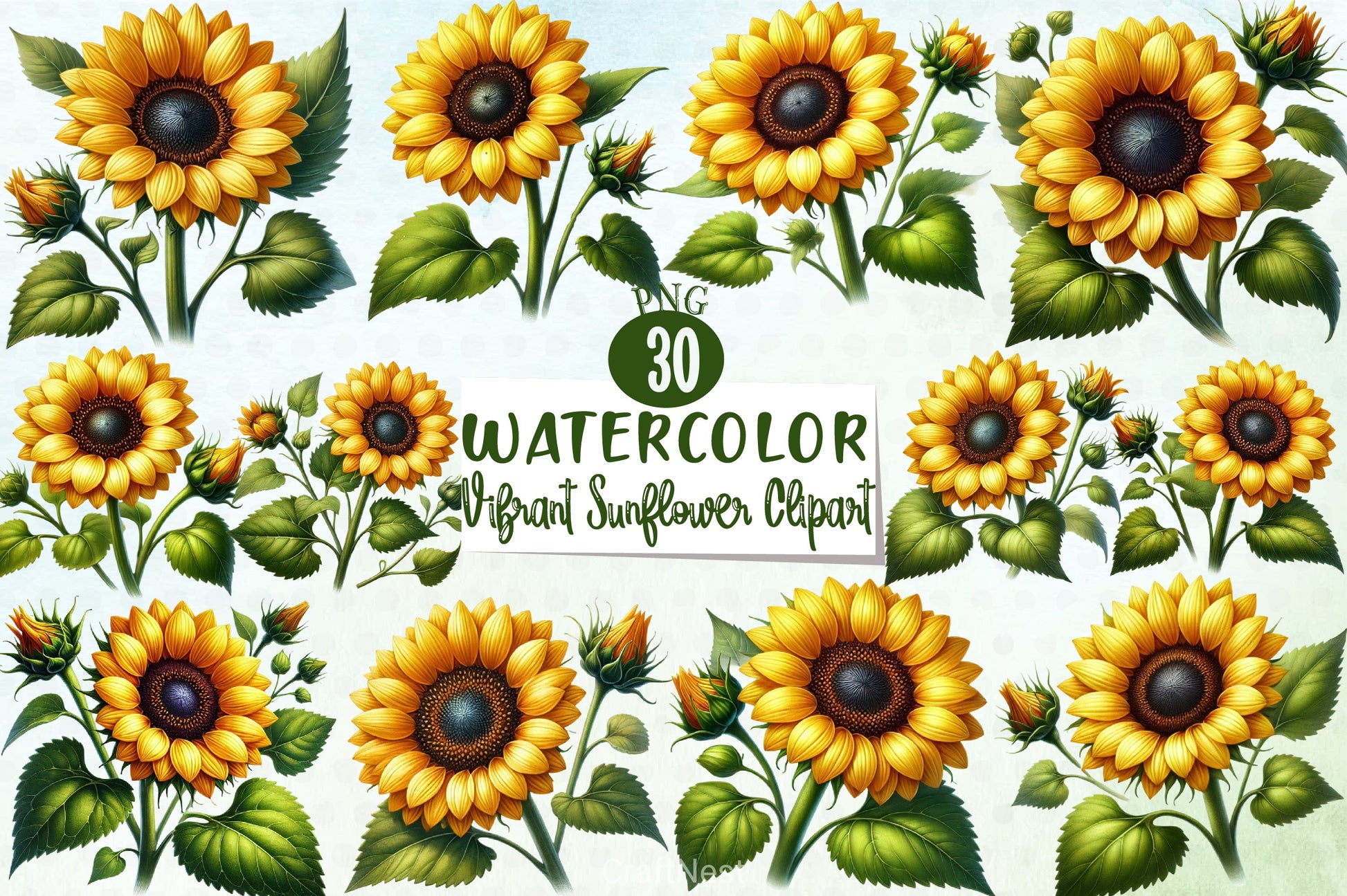 Vibrant Sunflower Clipart Bundle - CraftNest - Digital Crafting and Art