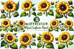 Vibrant Sunflower Clipart Bundle - CraftNest - Digital Crafting and Art