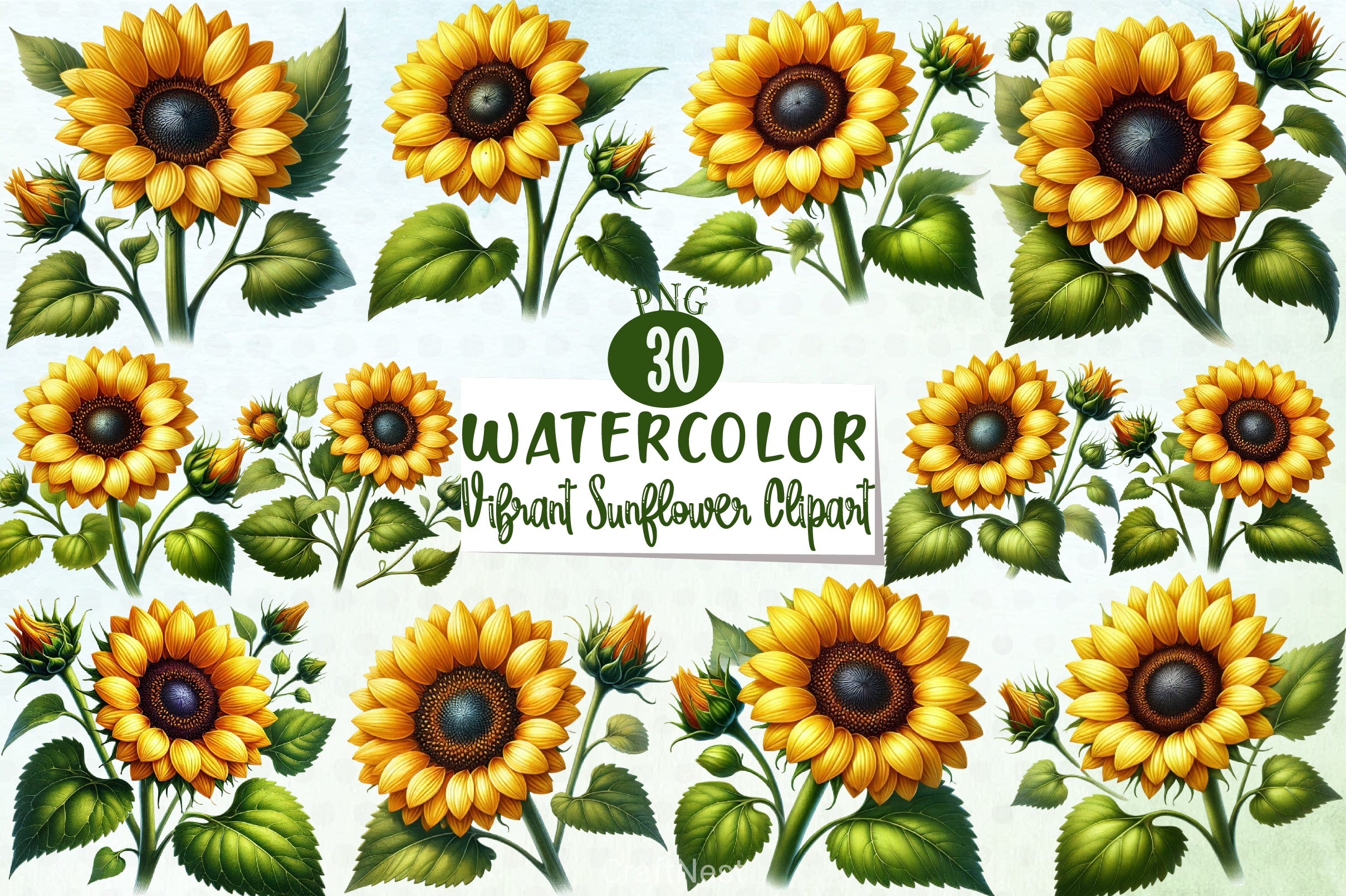 Vibrant Sunflower Clipart Bundle - CraftNest - Digital Crafting and Art
