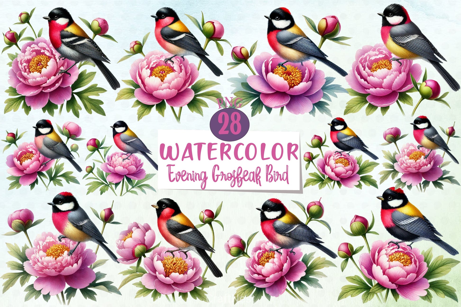 Spring Evening Grosbeak Bird Clipart Bundle - CraftNest - Digital Crafting and Art
