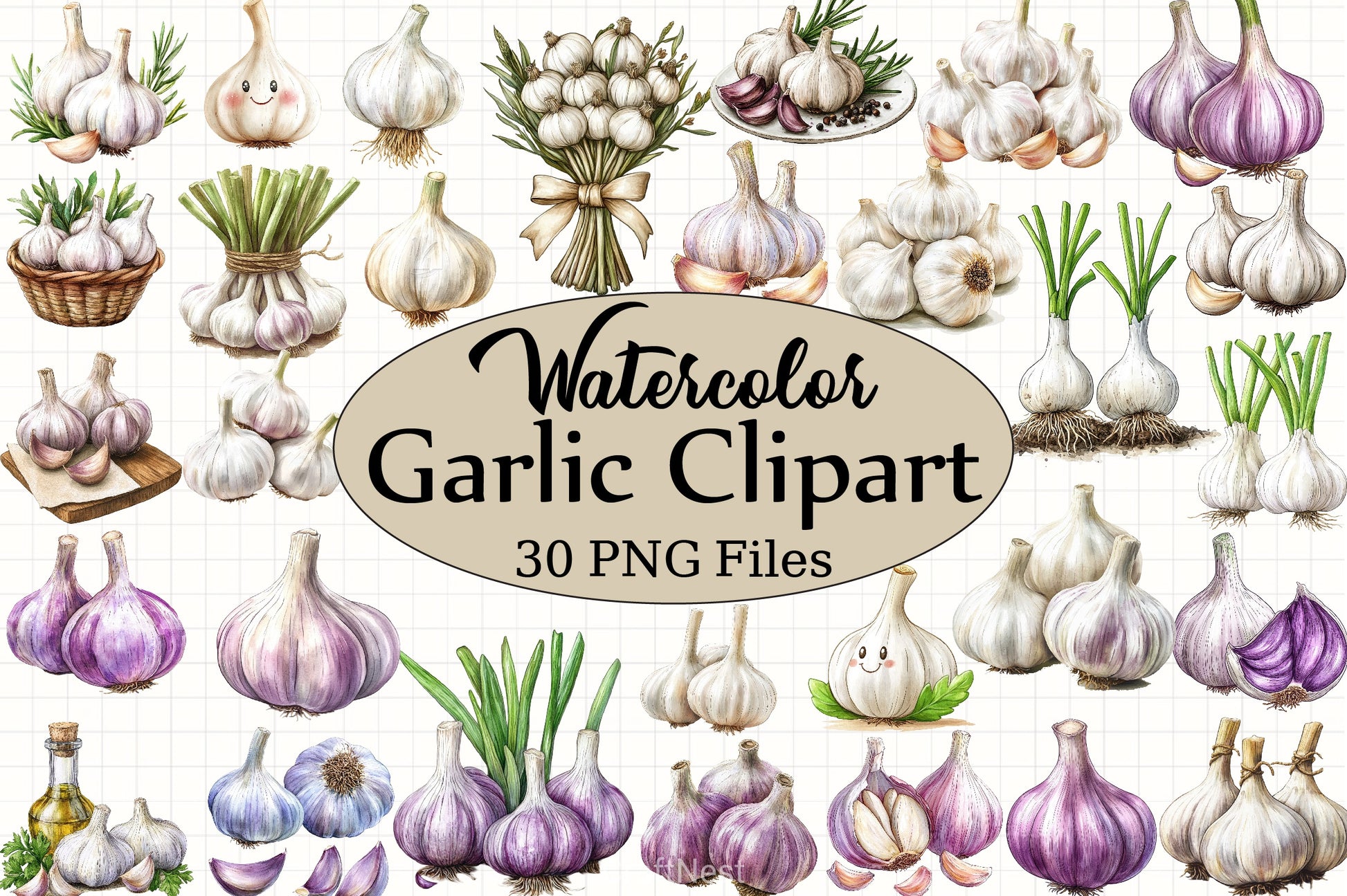 Garlic Clipart Bundle - CraftNest - Digital Crafting and Art