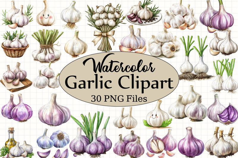 Garlic Clipart Bundle - CraftNest - Digital Crafting and Art