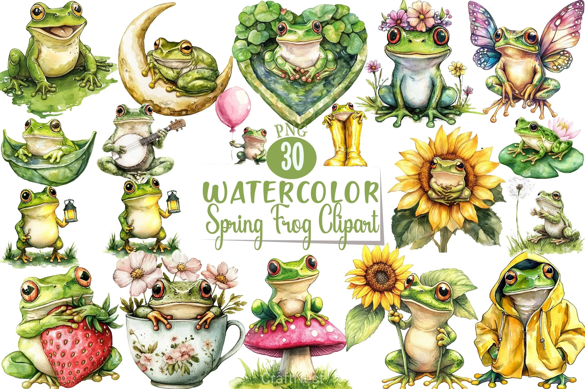 Spring Frog Drawing Spring Frog Clipart Bundle