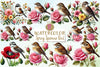 Spring Sparrow Clipart Bundle