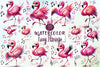 Funny Flamingo Clipart Bundle 5