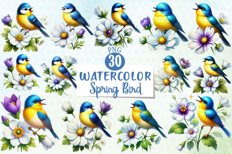Colorful Spring Bird Clipart Bundle - CraftNest - Digital Crafting and Art