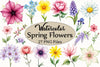 Spring Flowers Clipart Bundle