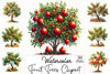 Fruit Trees Clipart Bundle