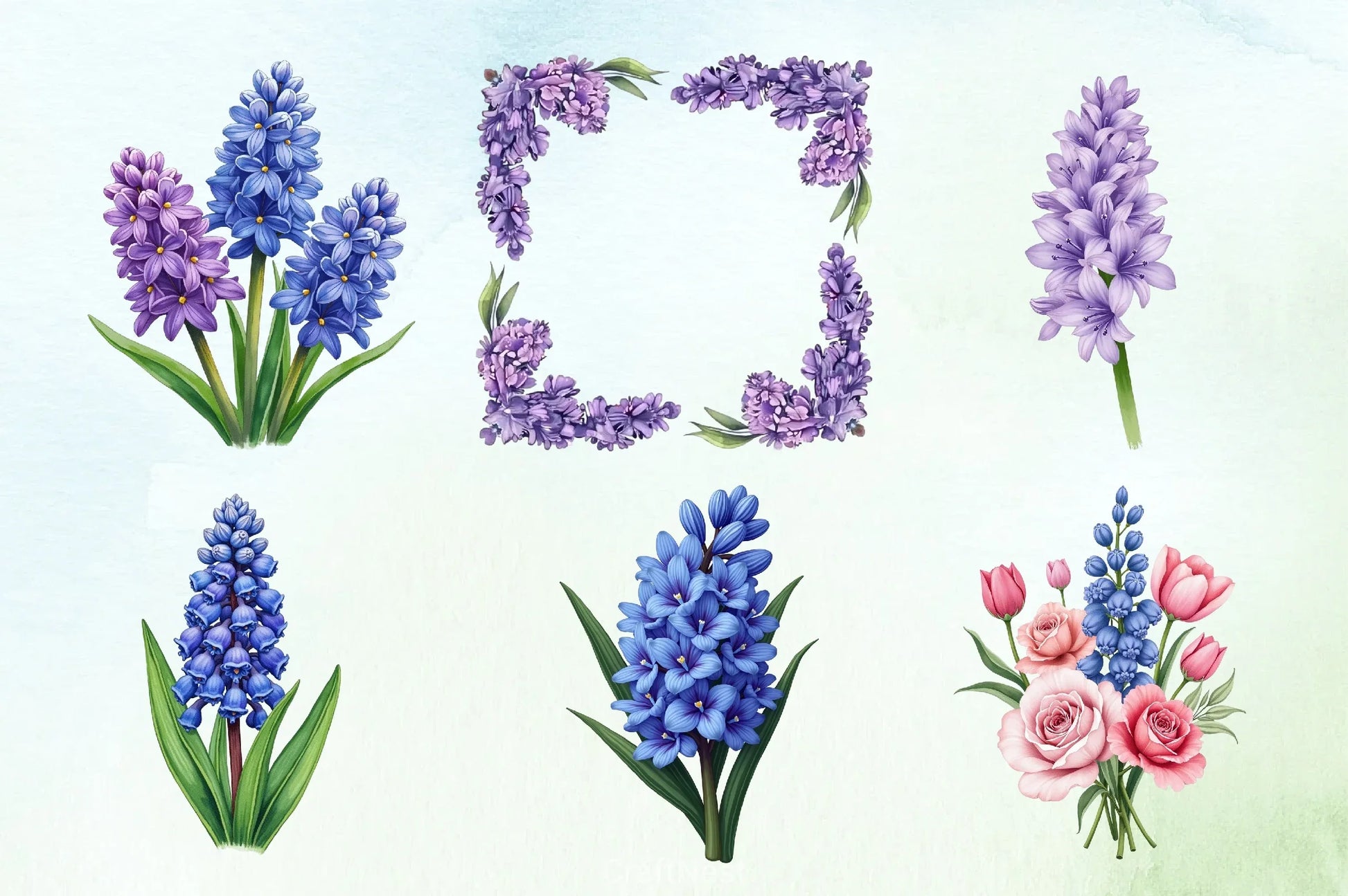 Hyacinth Flower Clipart Bundle - CraftNest - Digital Crafting and Art