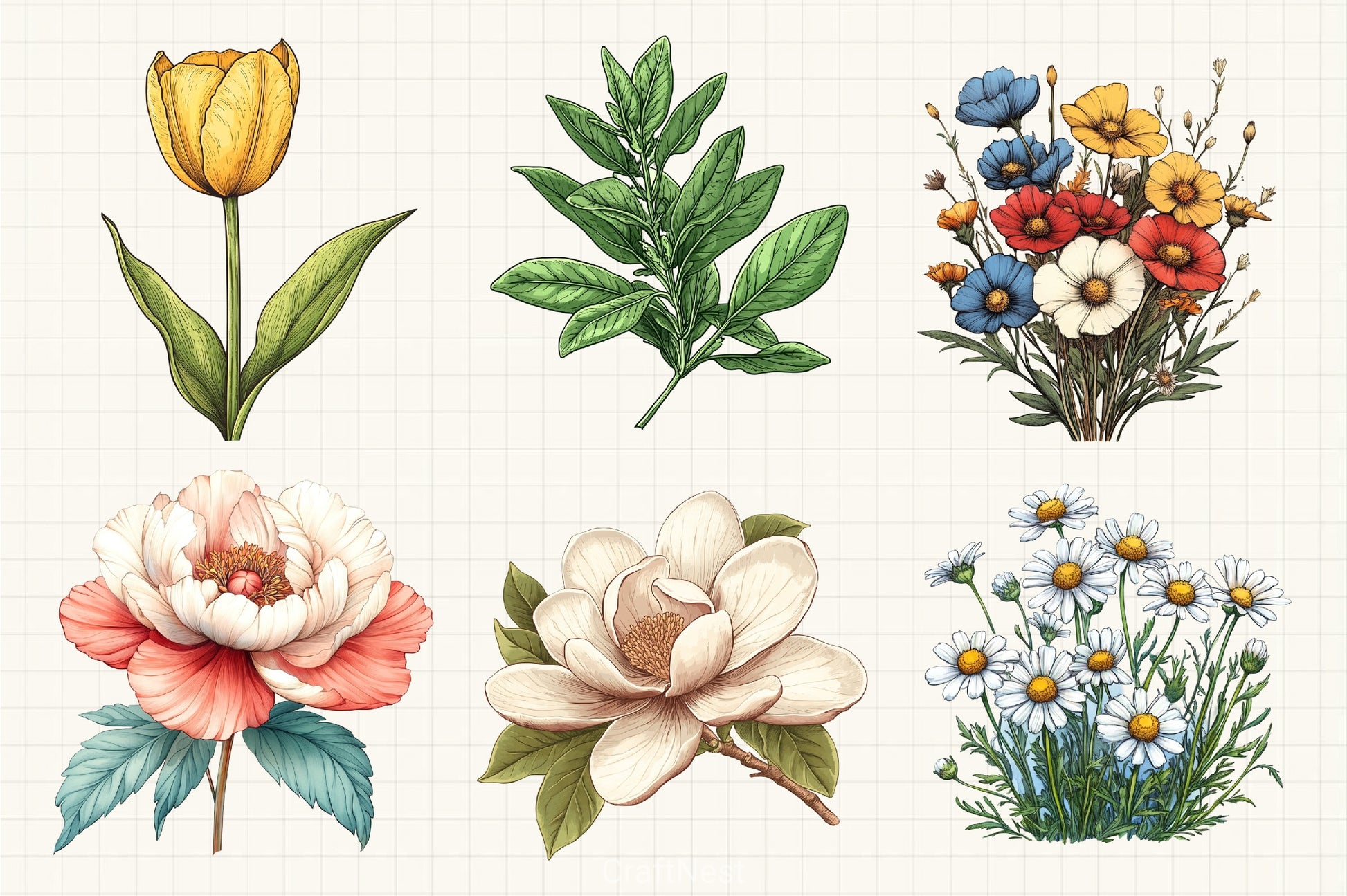 Vintage Botanical Clipart Bundle 2 - CraftNest - Digital Crafting and Art