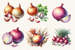 Onion Clipart Bundle 3 - CraftNest - Digital Crafting and Art