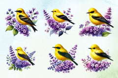 Spring Goldfinch Clipart Bundle - CraftNest - Digital Crafting and Art