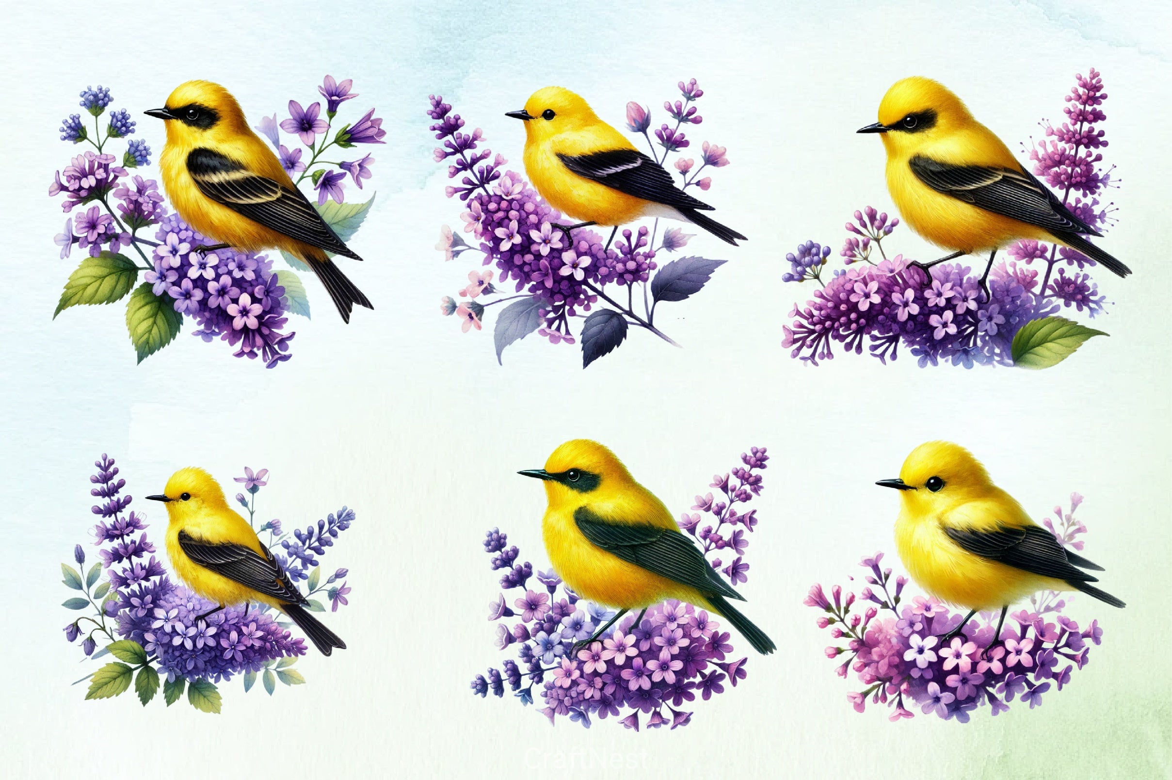 Spring Goldfinch Clipart Bundle - CraftNest - Digital Crafting and Art