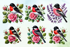 Spring Grosbeak Clipart Bundle - CraftNest - Digital Crafting and Art