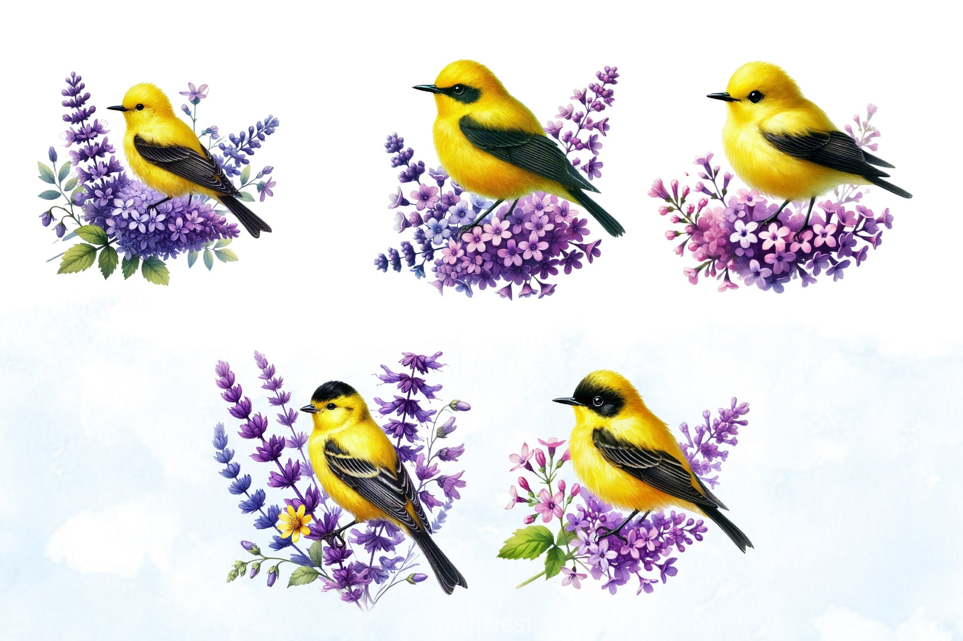 Spring Goldfinch Clipart Bundle - CraftNest - Digital Crafting and Art