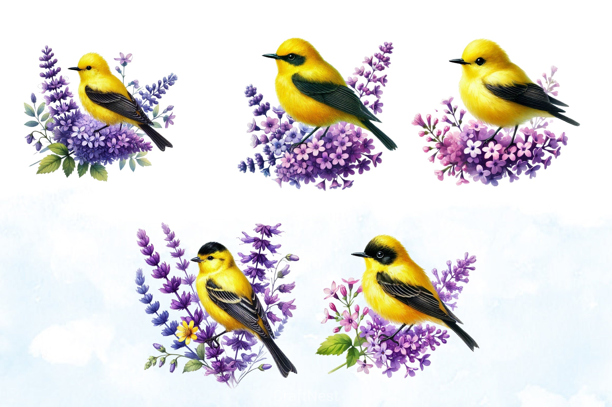 Spring Goldfinch Clipart Bundle - CraftNest - Digital Crafting and Art
