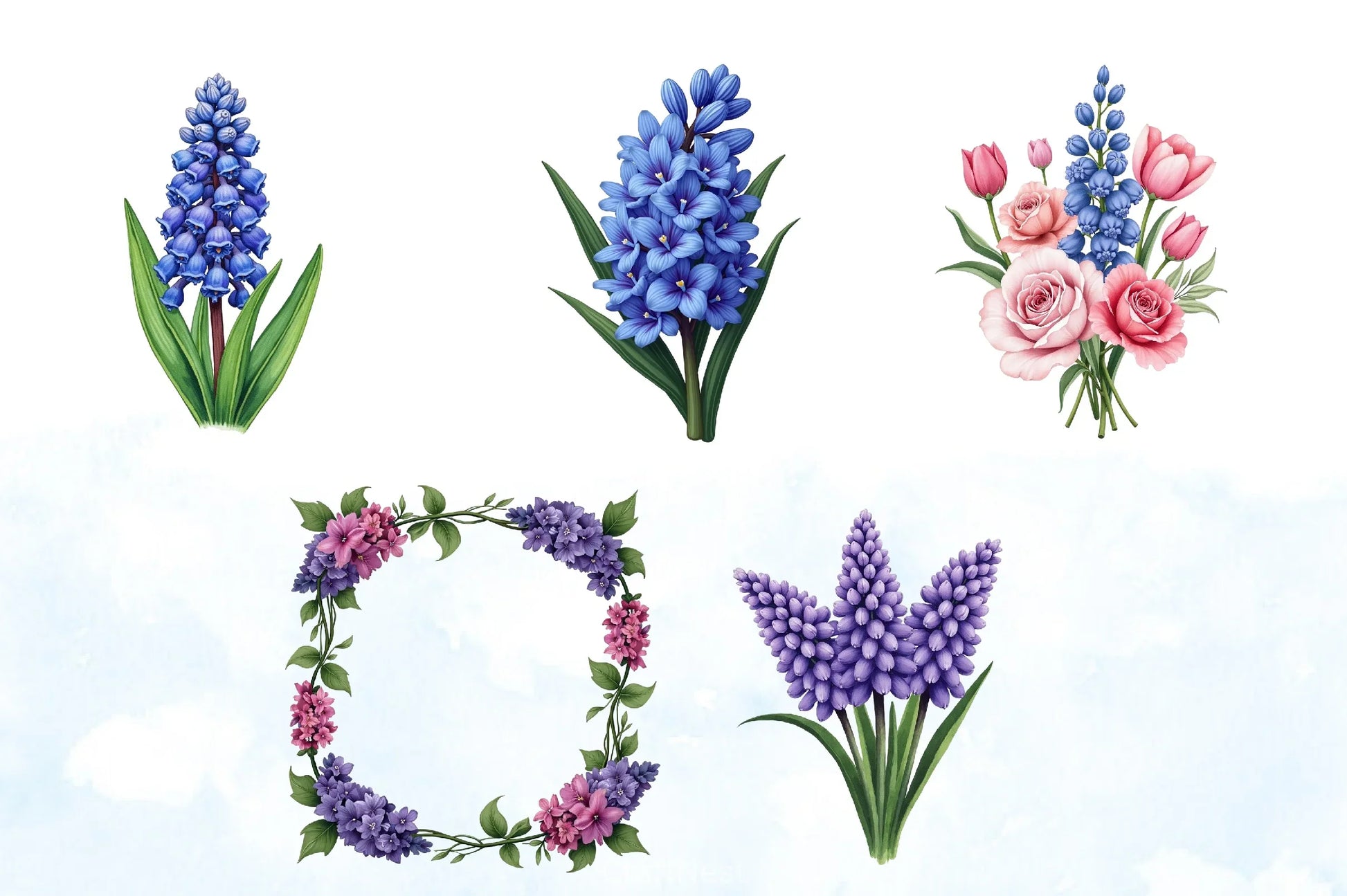 Hyacinth Flower Clipart Bundle - CraftNest - Digital Crafting and Art