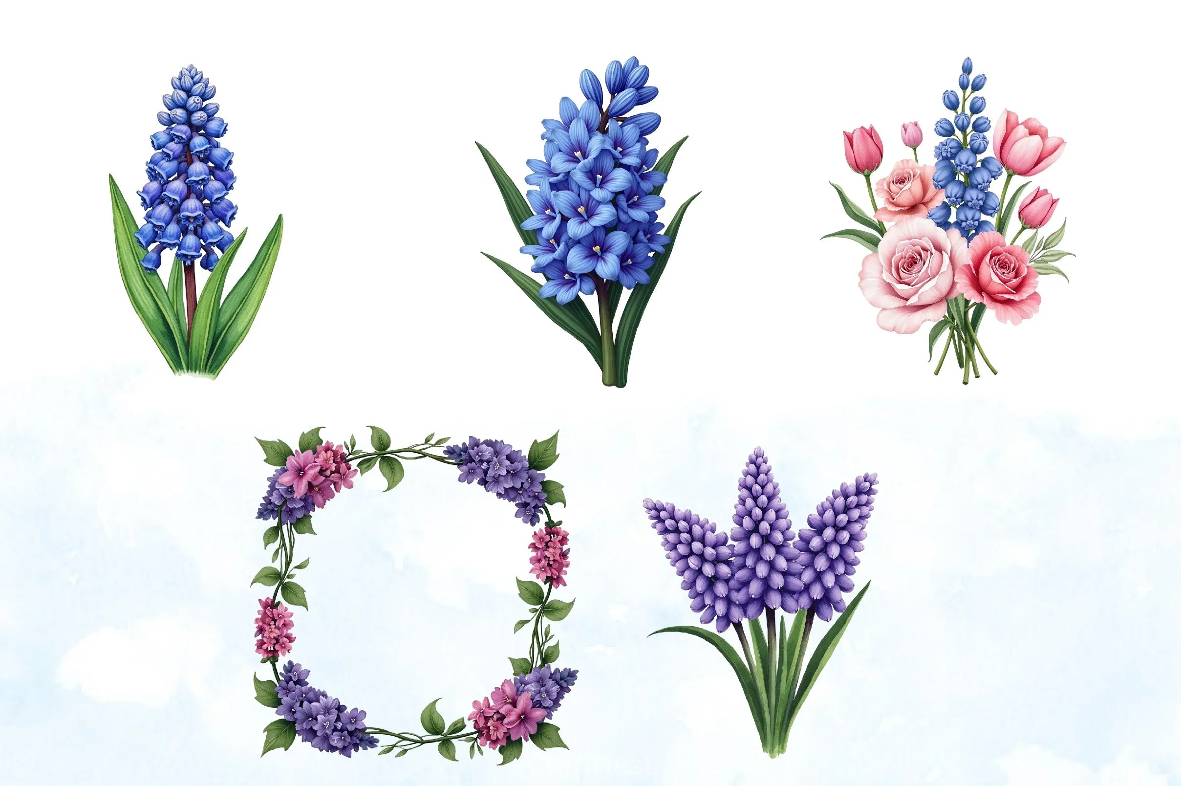 Hyacinth Flower Clipart Bundle - CraftNest - Digital Crafting and Art