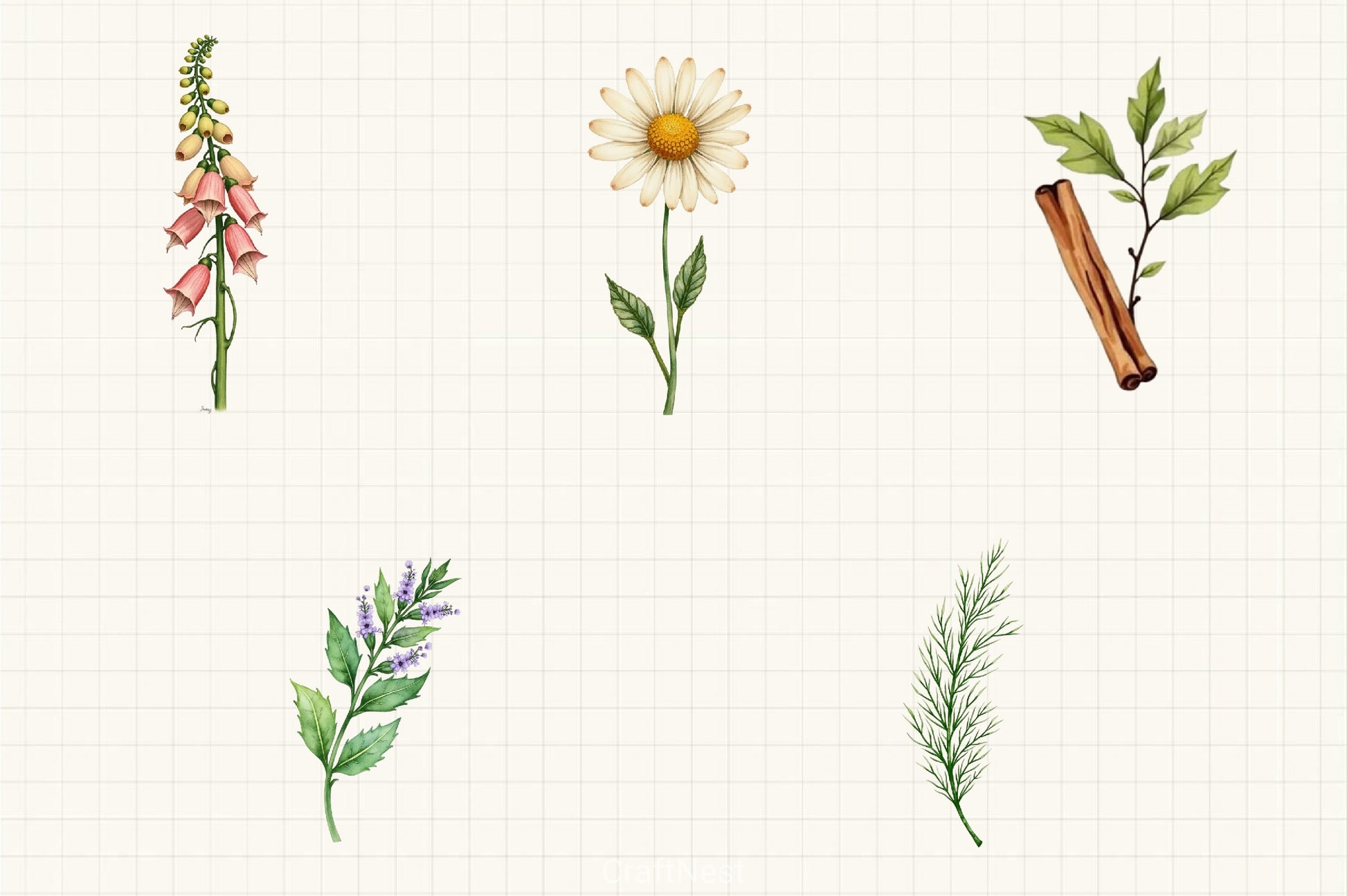 Vintage Botanical Clipart Bundle 4 - CraftNest - Digital Crafting and Art