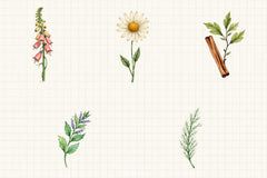 Vintage Botanical Clipart Bundle 4 - CraftNest - Digital Crafting and Art