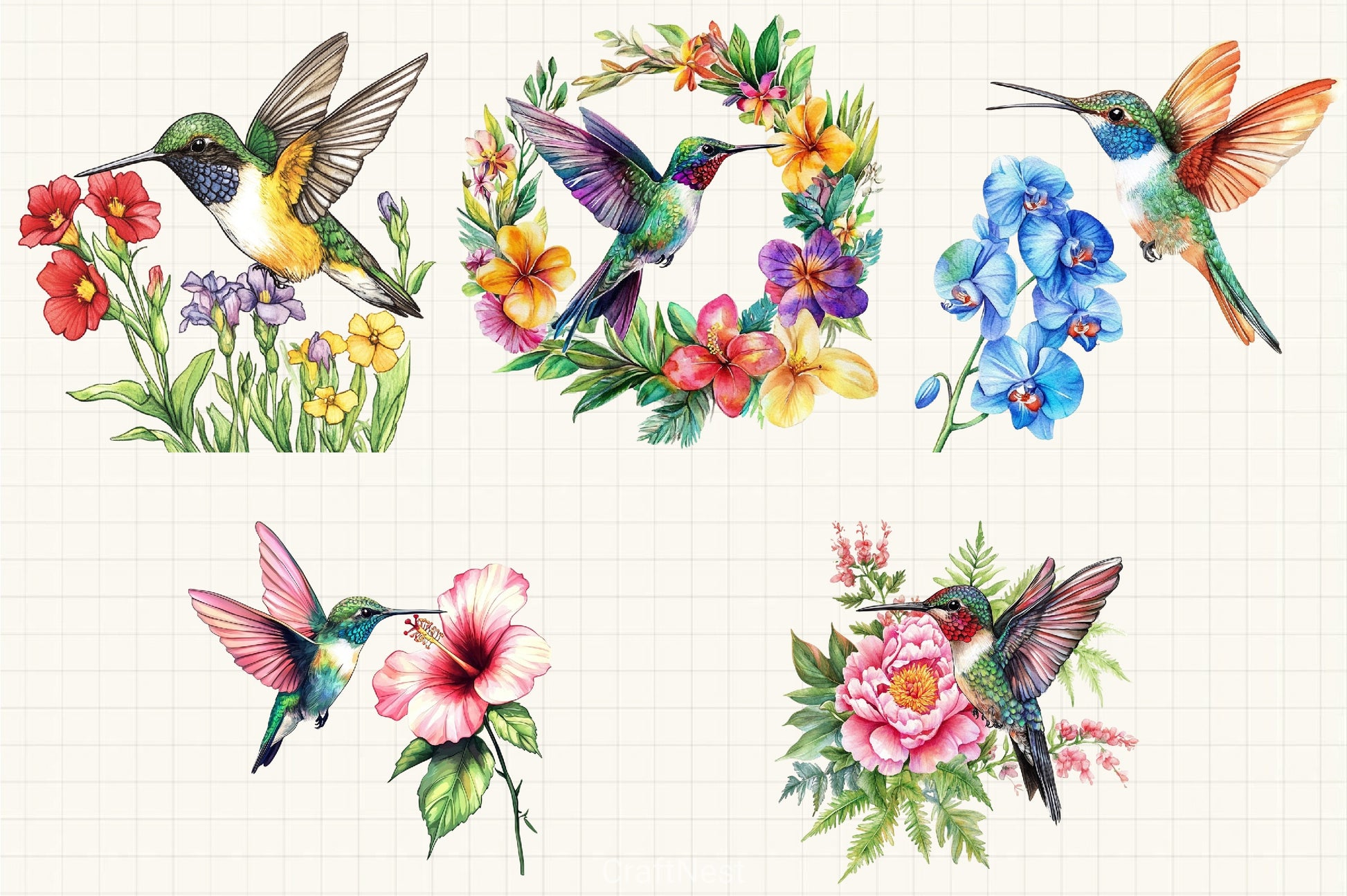 Beautiful Hummingbird Clipart Bundle - CraftNest - Digital Crafting and Art