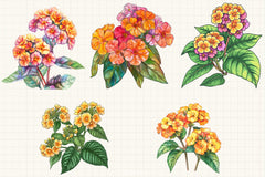 Lantana Flower Clipart Bundle - CraftNest - Digital Crafting and Art