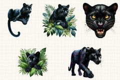Black Panther Clipart Bundle - CraftNest - Digital Crafting and Art