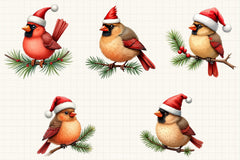 Christmas Birds Clipart Bundle - CraftNest - Digital Crafting and Art