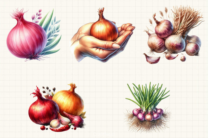 Onion Clipart Bundle 3 - CraftNest - Digital Crafting and Art