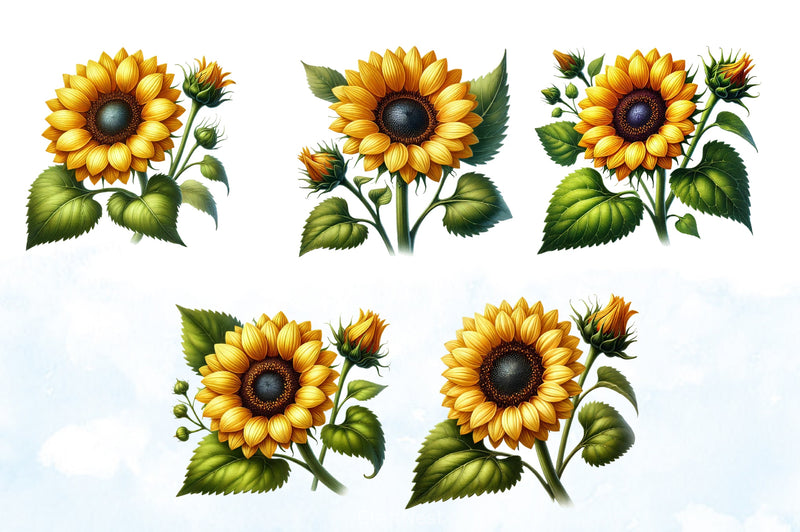 Vibrant Sunflower Clipart Bundle - CraftNest - Digital Crafting and Art