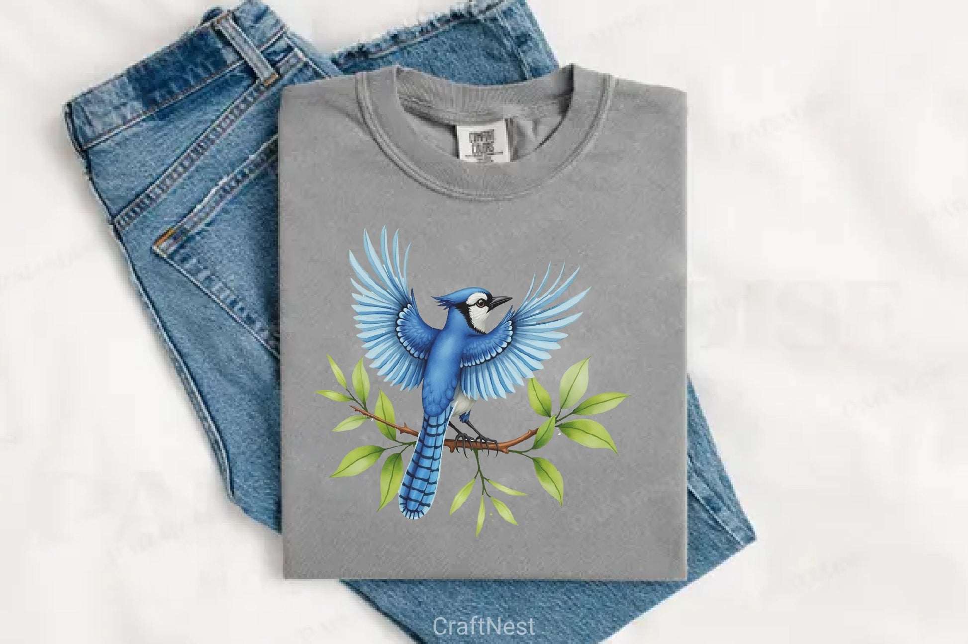 Summer Baby Birds Clipart Bundle - CraftNest - Digital Crafting and Art