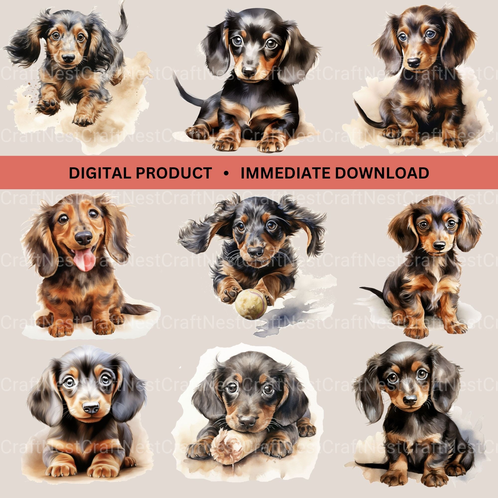 Dachshund Puppies Clipart Bundle - CraftNest - Digital Crafting and Art