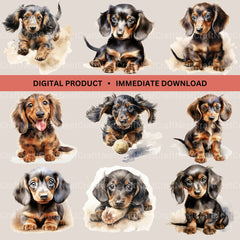 Dachshund Puppies Clipart Bundle - CraftNest - Digital Crafting and Art