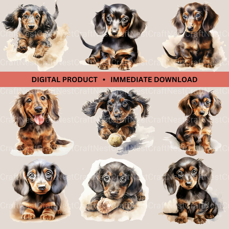 Dachshund Puppies Clipart Bundle - CraftNest - Digital Crafting and Art
