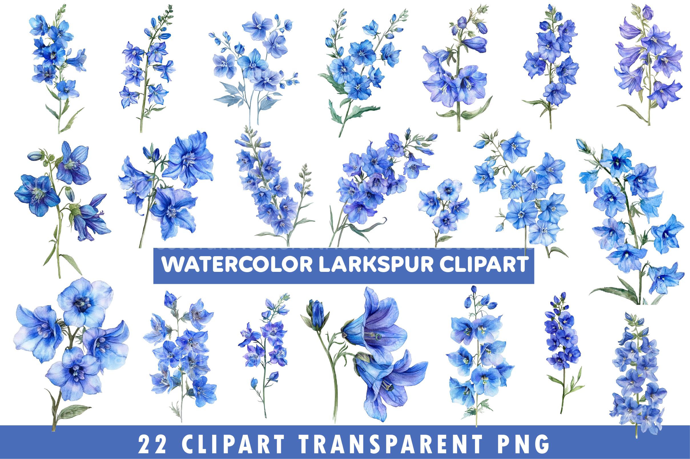 Larkspur Clipart Bundle - CraftNest - Digital Crafting and Art
