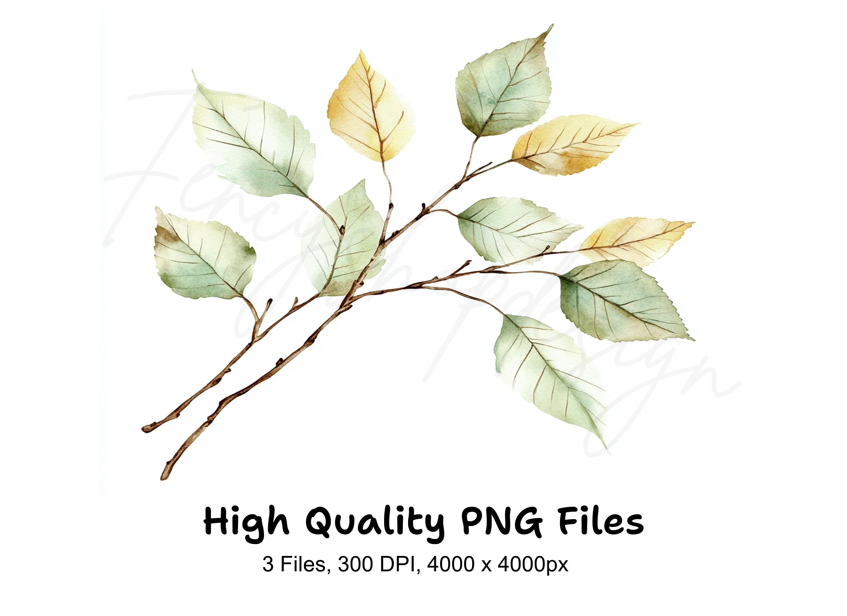 Autumn Leaves Clipart Bundle