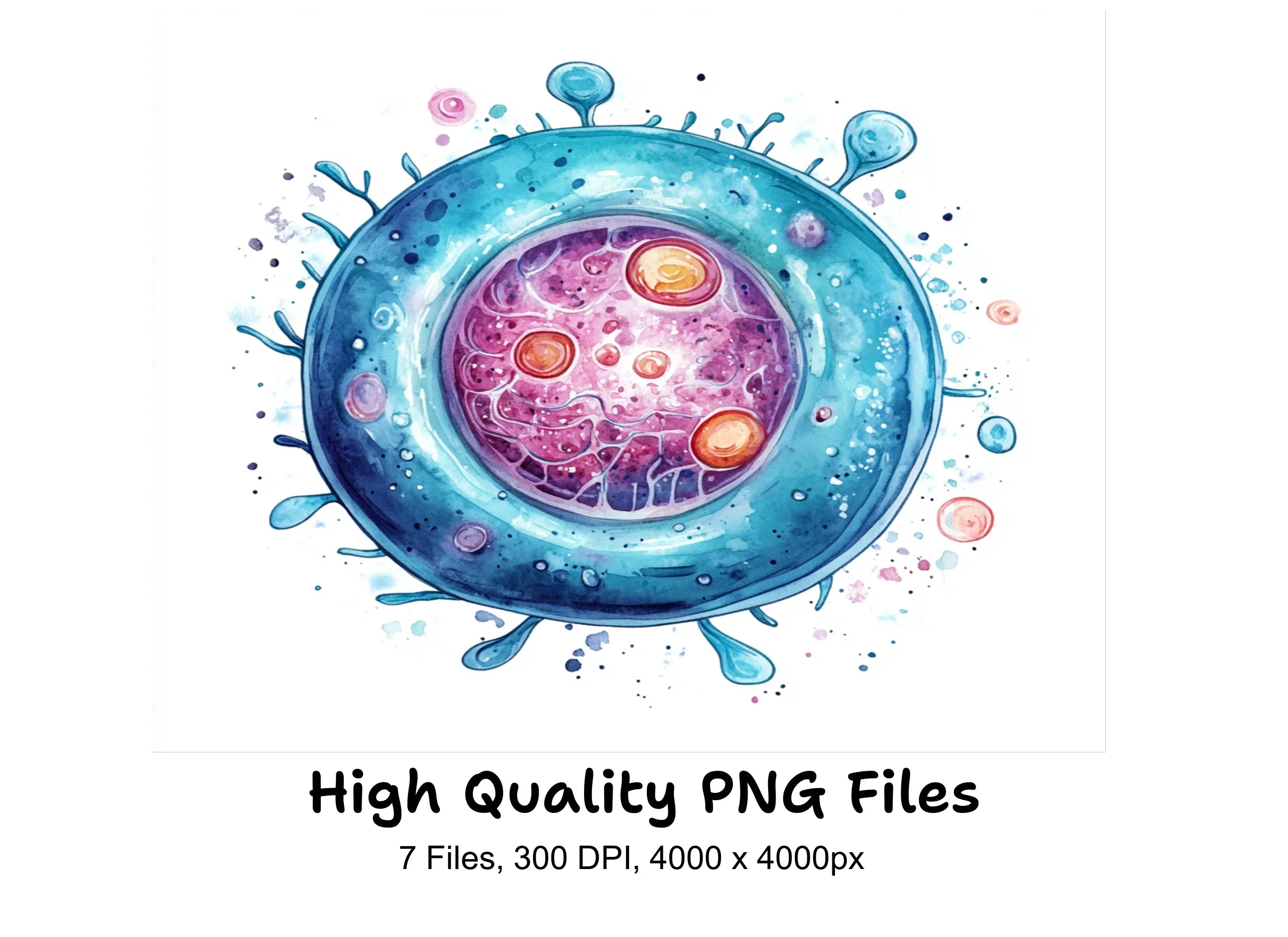 Microscopic Cell Structure Clipart Bundle