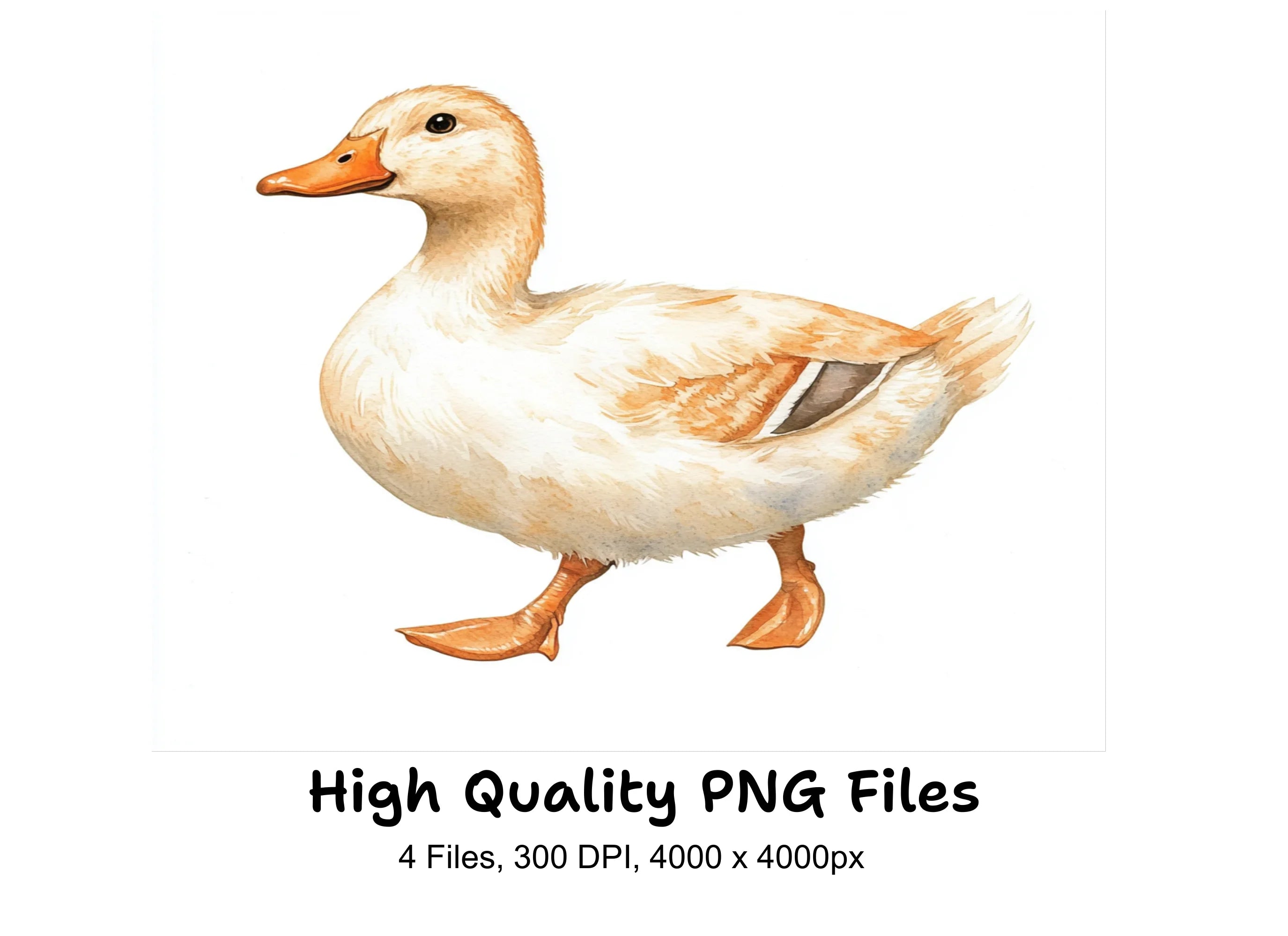 Walking Duck Clipart Bundle