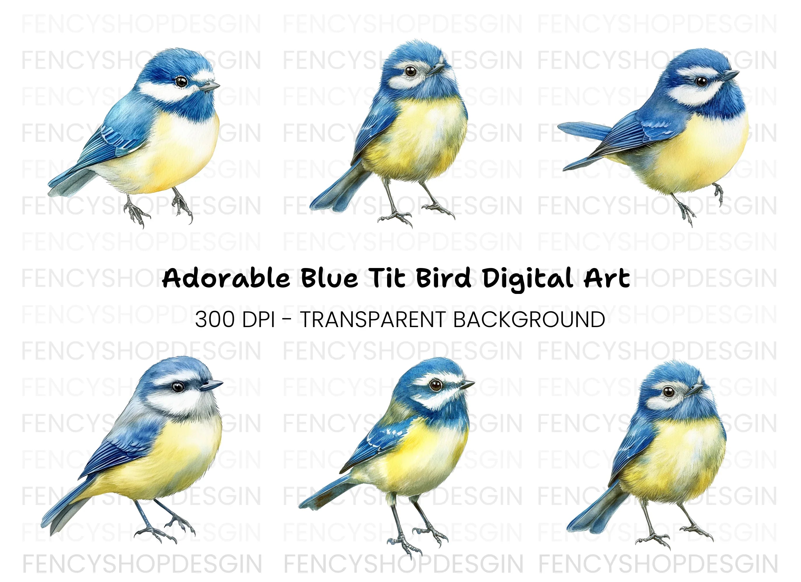 Cute Blue Tit Birds Clipart Bundle