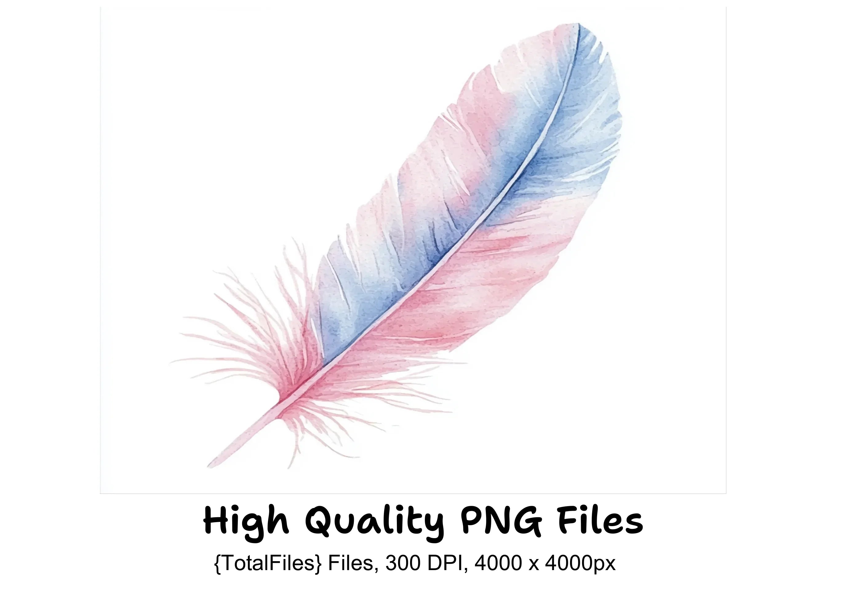 Pastel Feather Clipart Bundle
