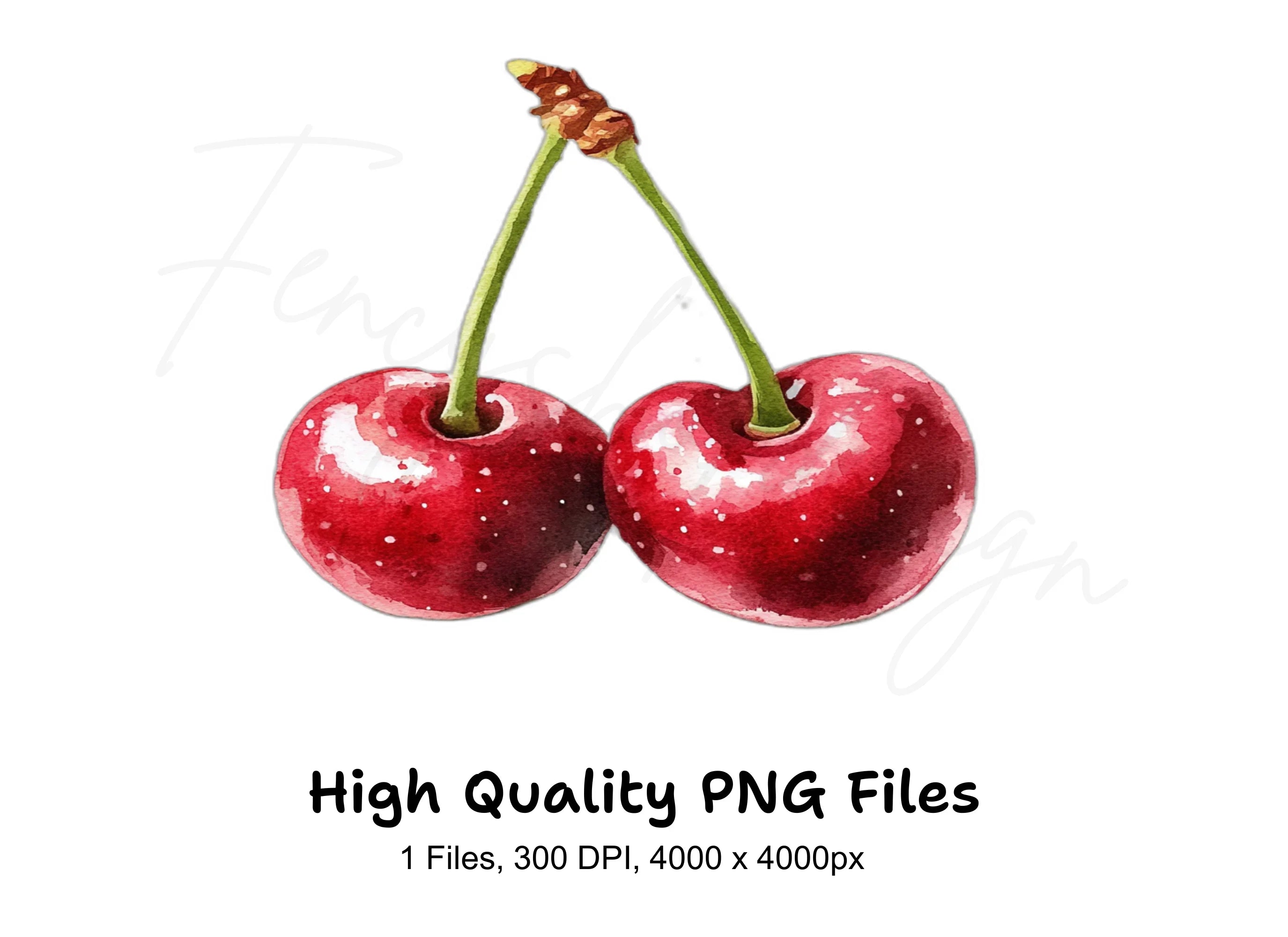 Sweet Red Cherry Illustration Clipart Bundle