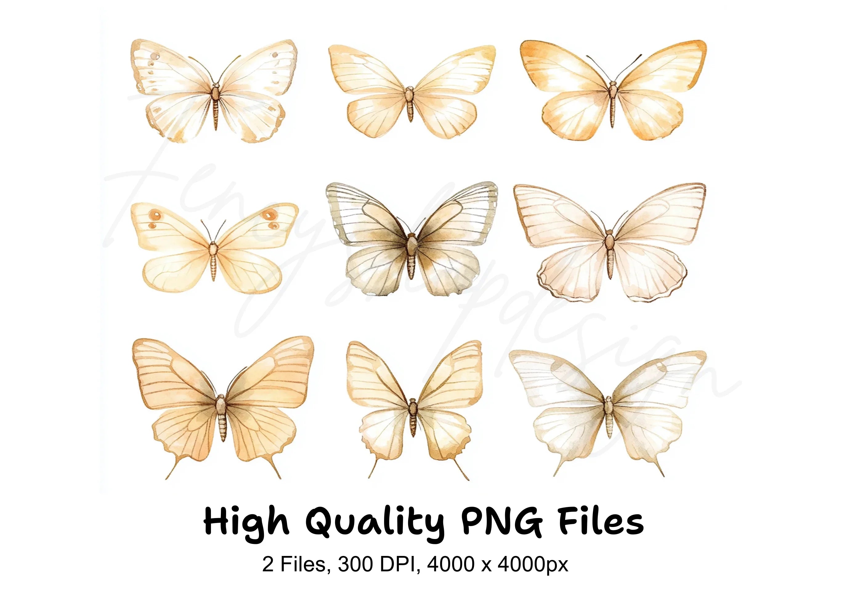 Elegant Butterfly Clipart Bundle