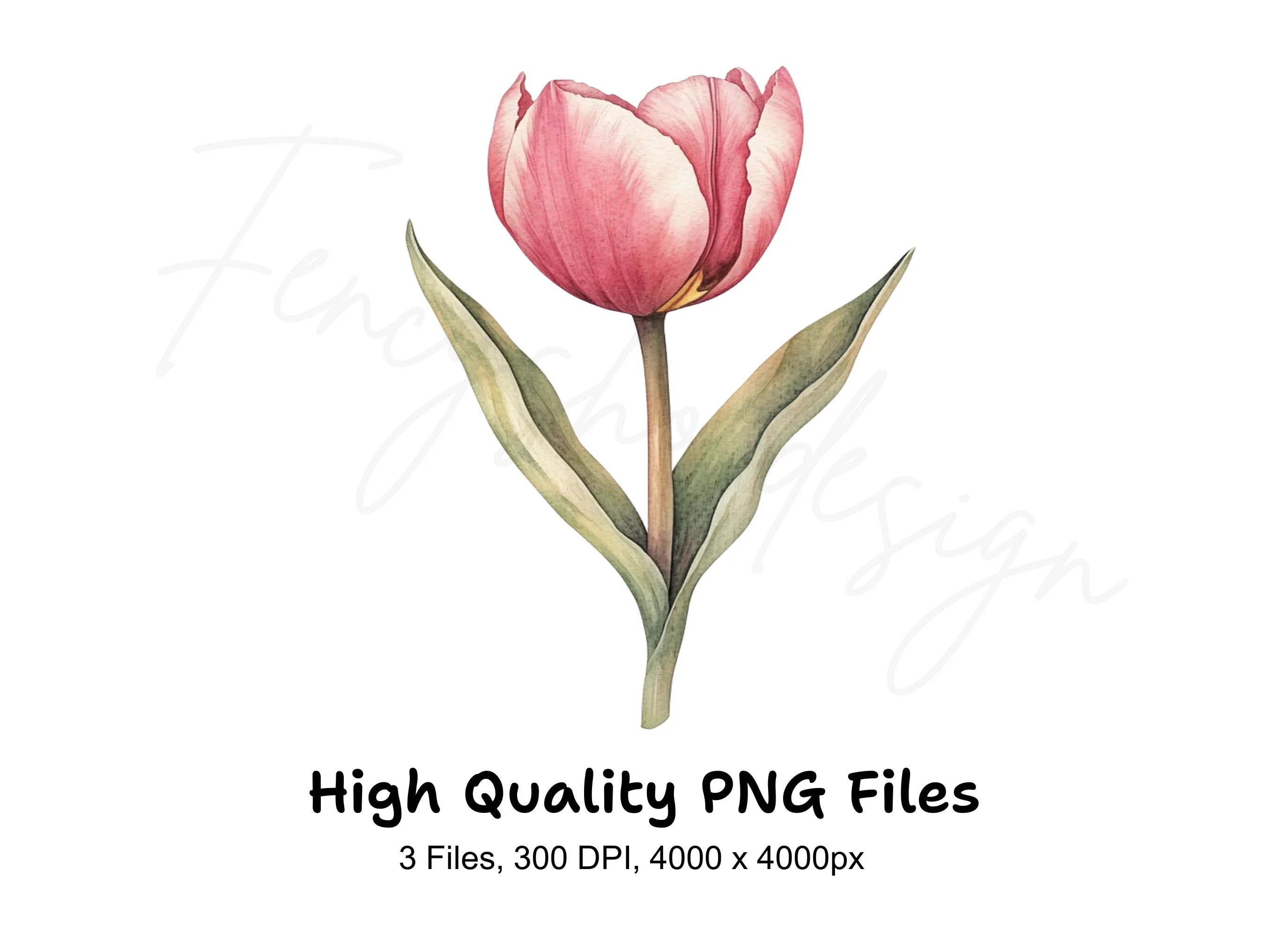 Single Tulip Flowers Clipart Bundle