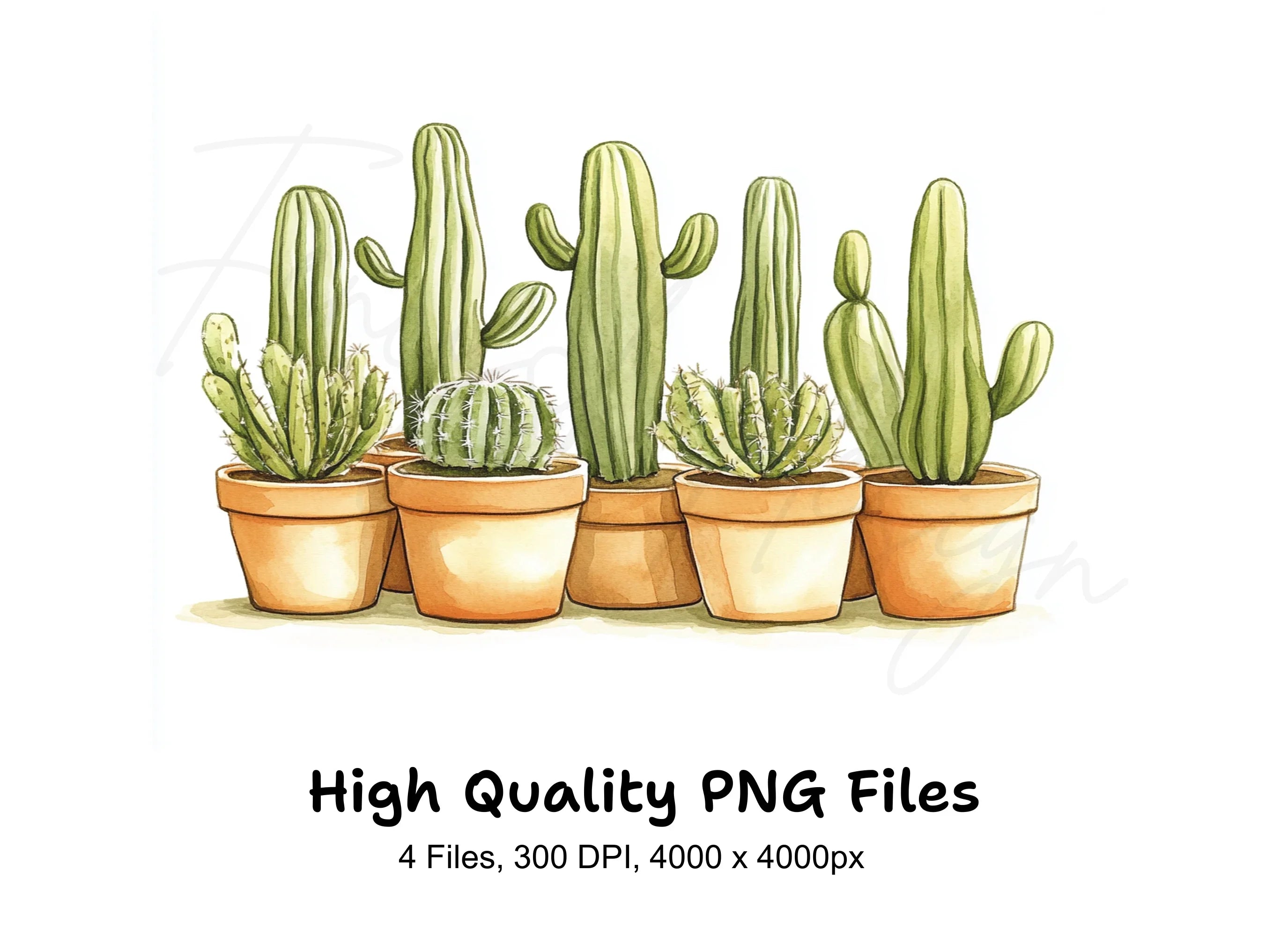 Cactus Clipart Bundle