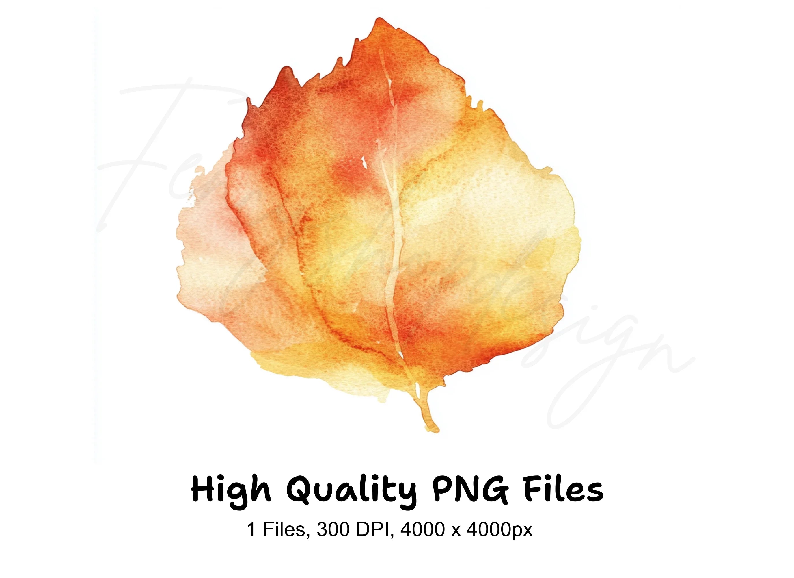Autumn Leaf Clipart Bundle
