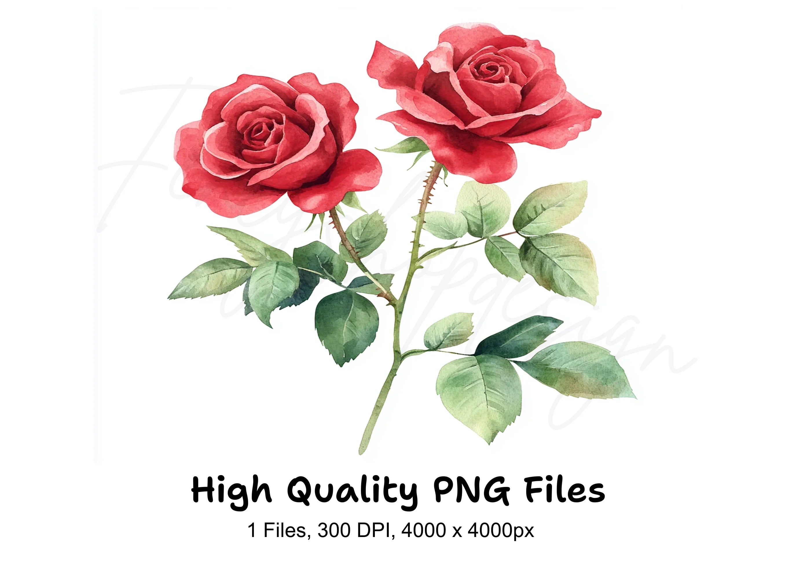 Red Roses Clipart Bundle